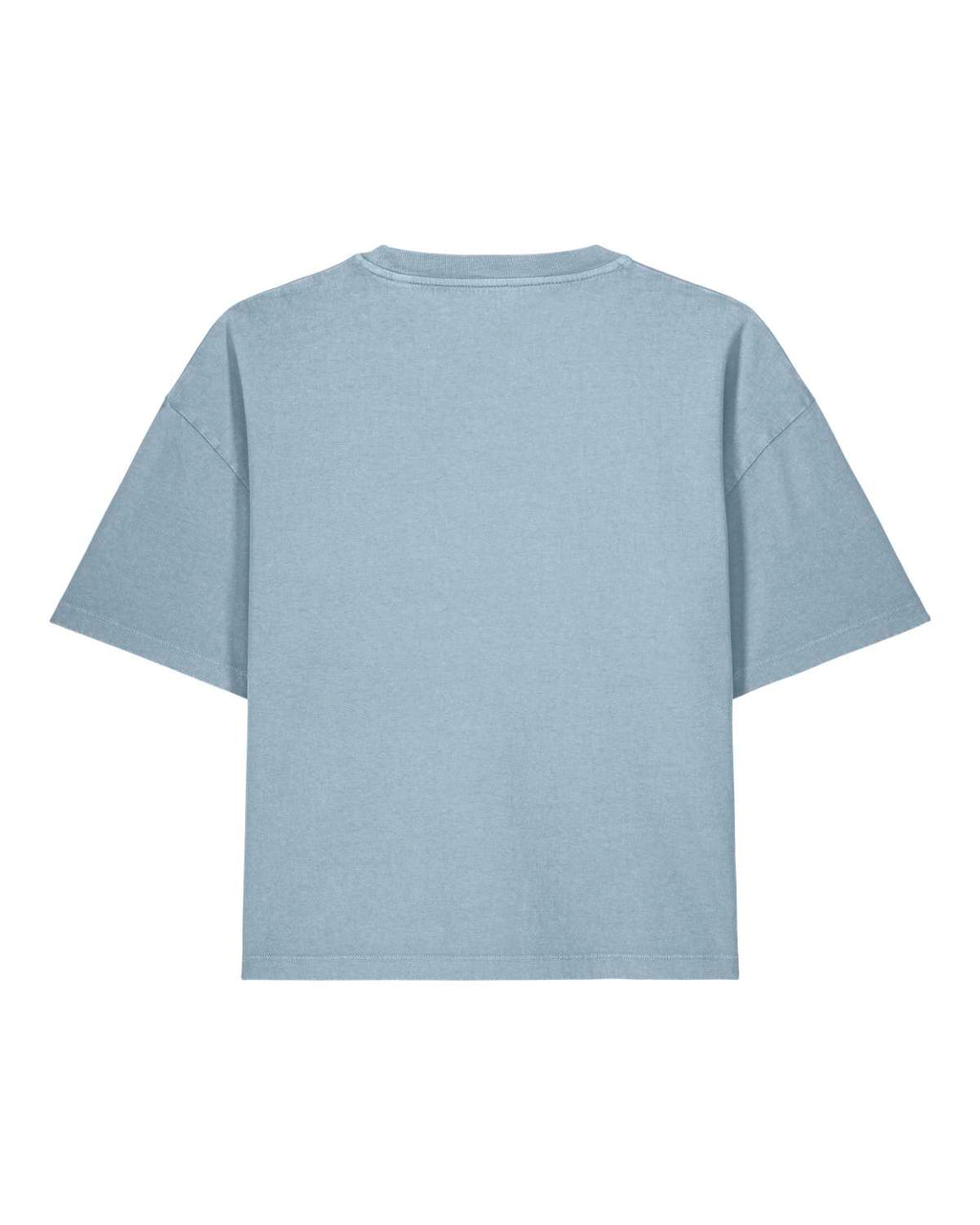 MORE AMORE Vintage Light Blue Cropped T-Shirt