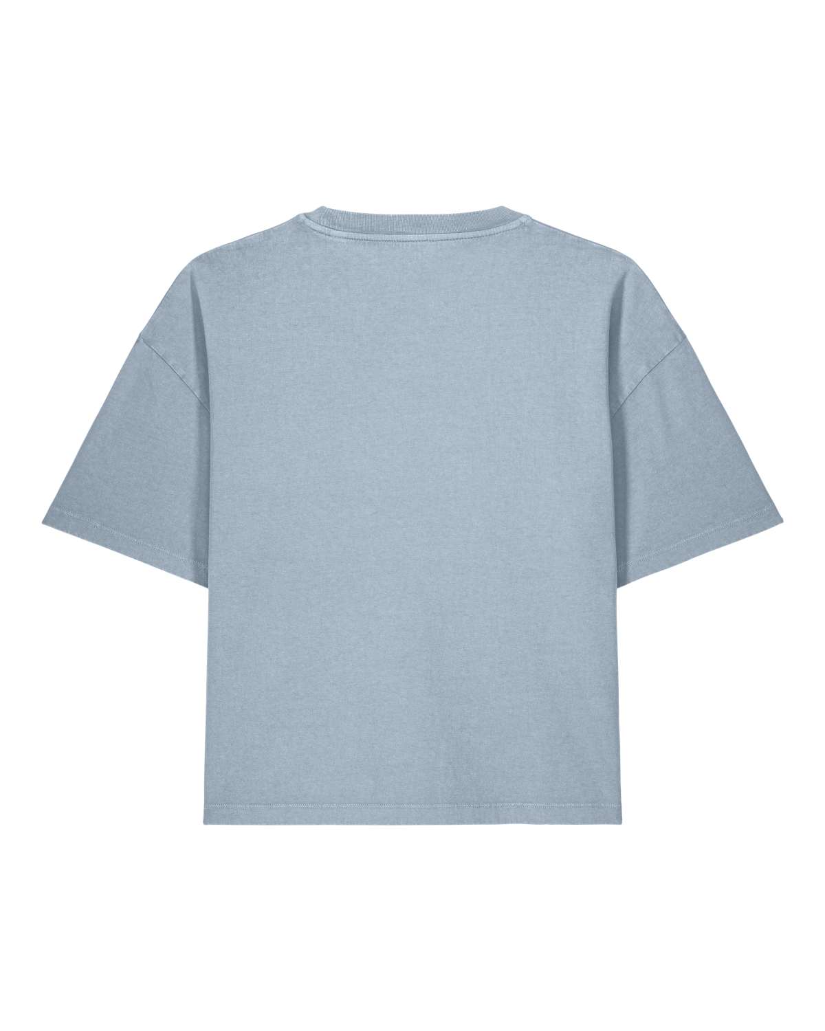 MORE AMORE Vintage Light Blue Cropped T-Shirt