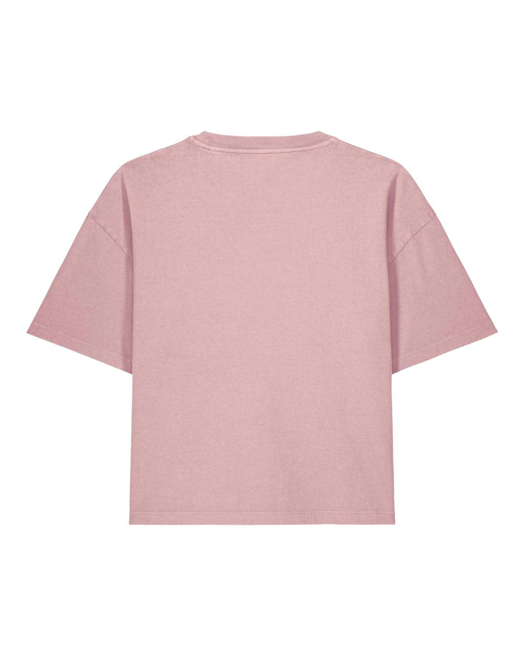 Schnitt- und Farbreferenz des Vintage Blush Cropped T-Shirts – Rückansicht