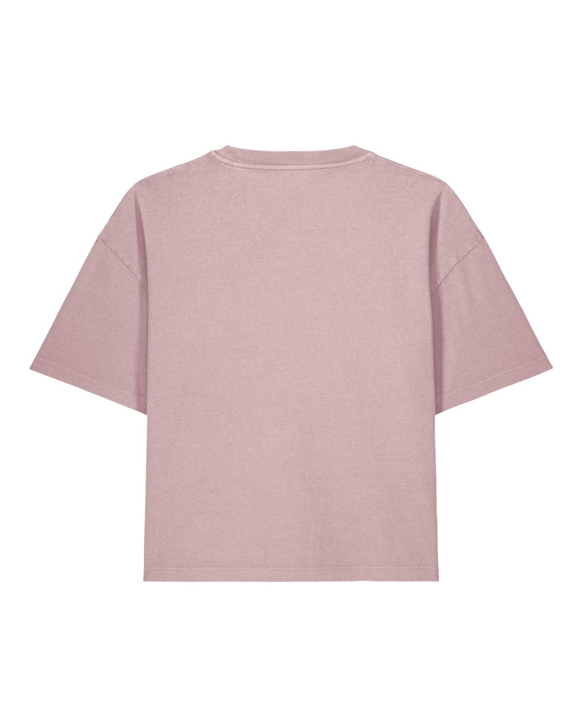 Schnitt- und Farbreferenz des Vintage Blush Cropped T-Shirts – Rückansicht